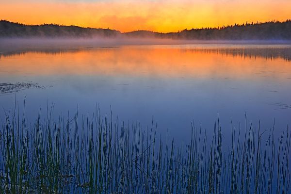 Canada-Quebec-Chibougamau Fog over Lac Sauvage at dawn
